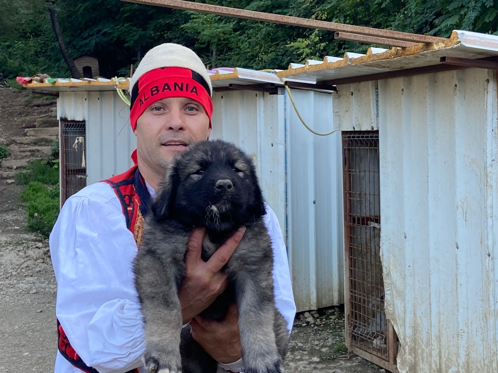 Qeni i Sharrit – Dritan Frroku (3)