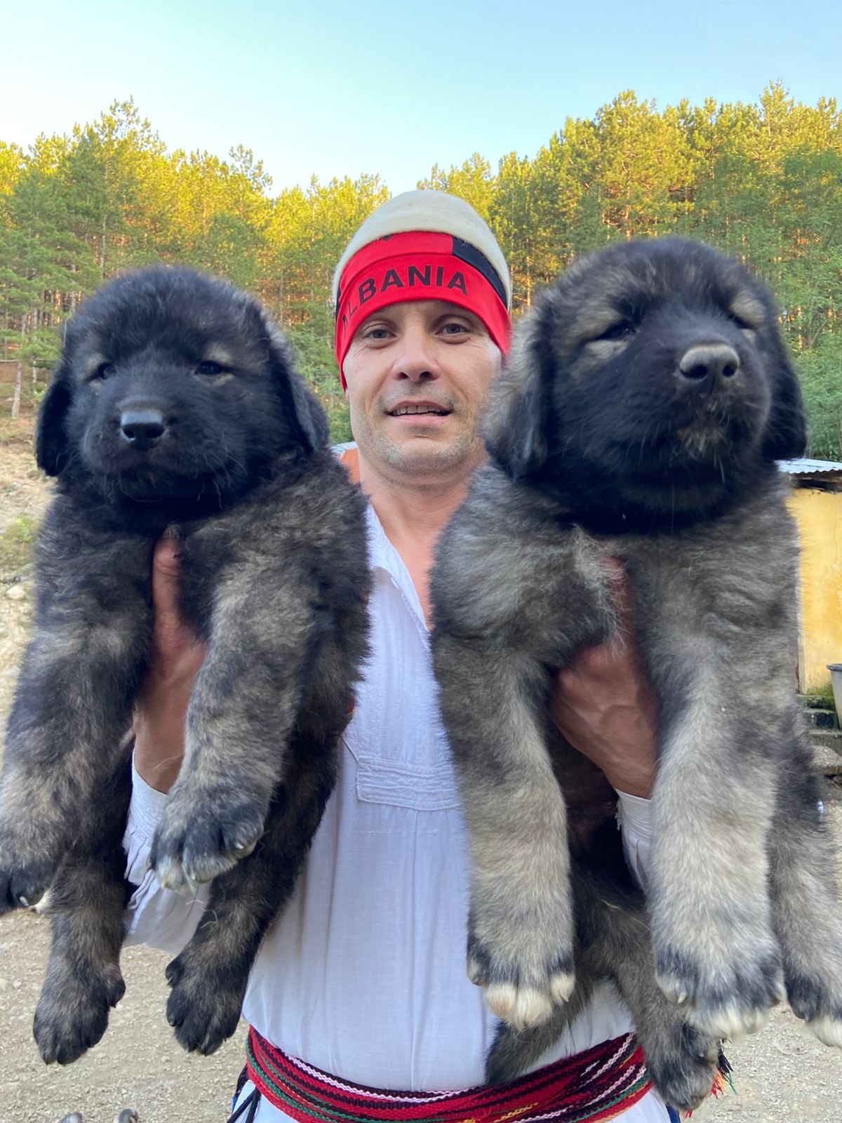 Qeni i Sharrit – Dritan Frroku (8)